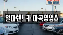 서울특별시 강서구 렌트카,단기렌트카,장기렌트카,중고차,중고차매매,중고차매입