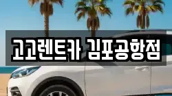 고고렌트카 김포공항점