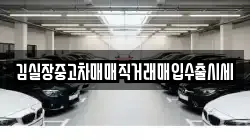 김실장중고차매매직거래매입수출시세