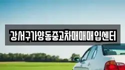 강서구가양동중고차매매매입센터