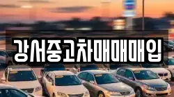 강서중고차매매매입