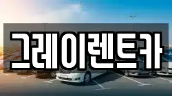 그레이렌트카