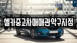 셀카중고차매매관악구지점