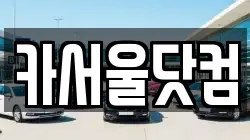 카서울닷컴
