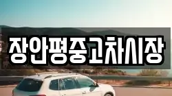 장안평중고차시장