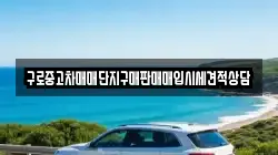 구로중고차매매단지구매판매매입시세견적상담