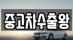 중고차수출왕