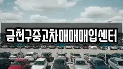 금천구중고차매매매입센터
