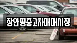 장안평중고차매매시장