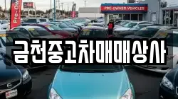 금천중고차매매상사