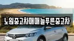 노원중고차매매늘푸른중고차