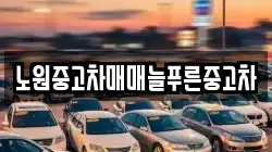 노원중고차매매늘푸른중고차