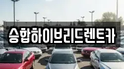 승합하이브리드렌트카