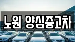 노원 양심중고차