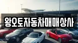 왕오토자동차매매상사