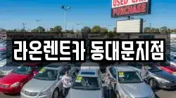 라온렌트카 동대문지점