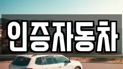 인증자동차