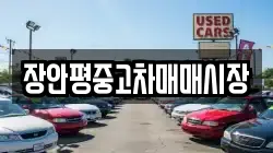 장안평중고차매매시장