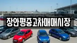 장안평중고차매매시장