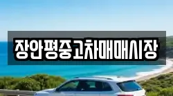 장안평중고차매매시장