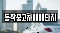 동작중고차매매단지