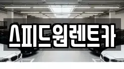 스피드원렌트카