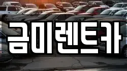 금미렌트카