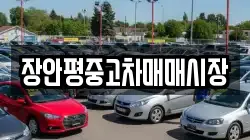 장안평중고차매매시장