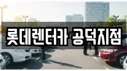 서울특별시 마포구 공덕동 렌트카,단기렌트카,장기렌트카,중고차,중고차매매,중고차매입