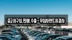 중고차구입,판매,수출-무심사렌트차결사