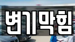 변기막힘