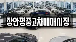 장안평중고차매매시장