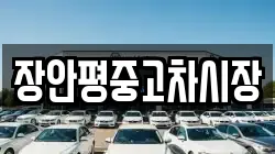 장안평중고차시장