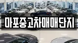 마포중고차매매단지