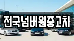 전국넘버원중고차