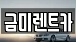 금미렌트카