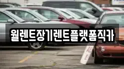 월렌트장기렌트플랫폼직카
