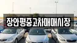장안평중고차매매시장