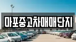 마포중고차매매단지