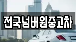 전국넘버원중고차