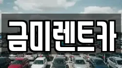 금미렌트카