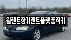 월렌트장기렌트플랫폼직카