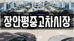장안평중고차시장