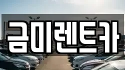 서울특별시 마포구 하중동 렌트카,단기렌트카,장기렌트카,중고차,중고차매매,중고차매입