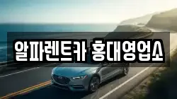 알파렌트카 홍대영업소
