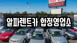 알파렌트카 합정영업소