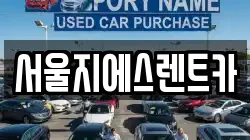 서울지에스렌트카