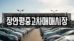 장안평중고차매매시장