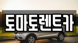 토마토렌트카