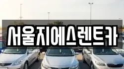 서울지에스렌트카